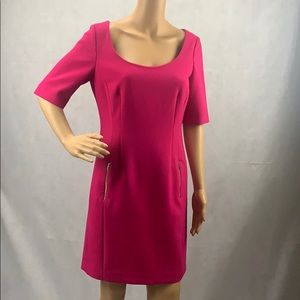 Ann Taylor Pink Scoop Neck Sheath w Zipper Pockets